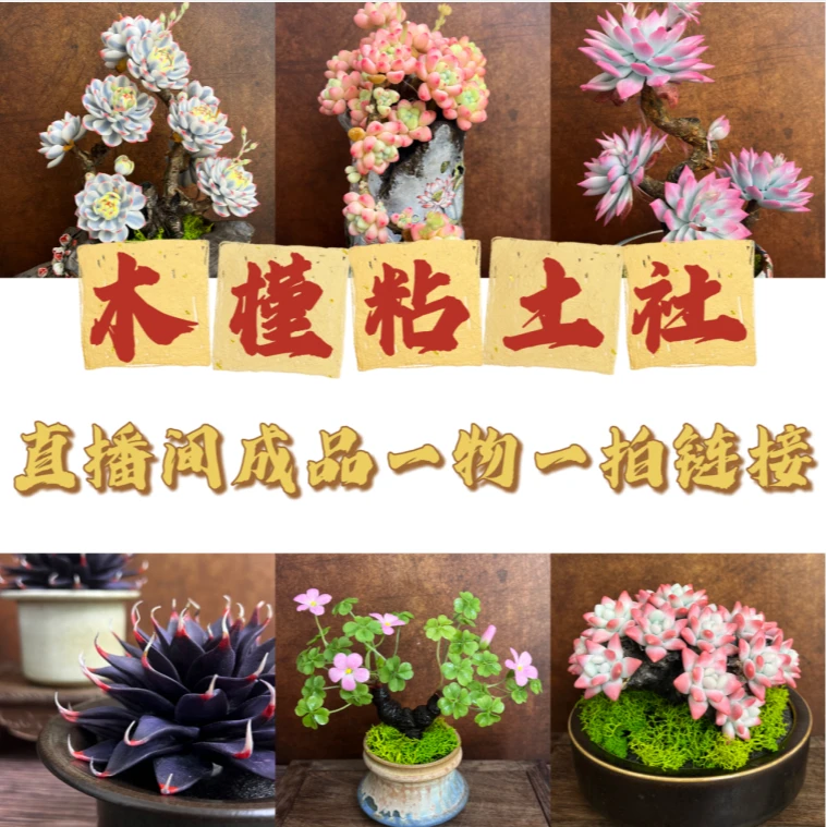 【木槿粘土社】粘土多肉艺术品成品直播间一物一拍