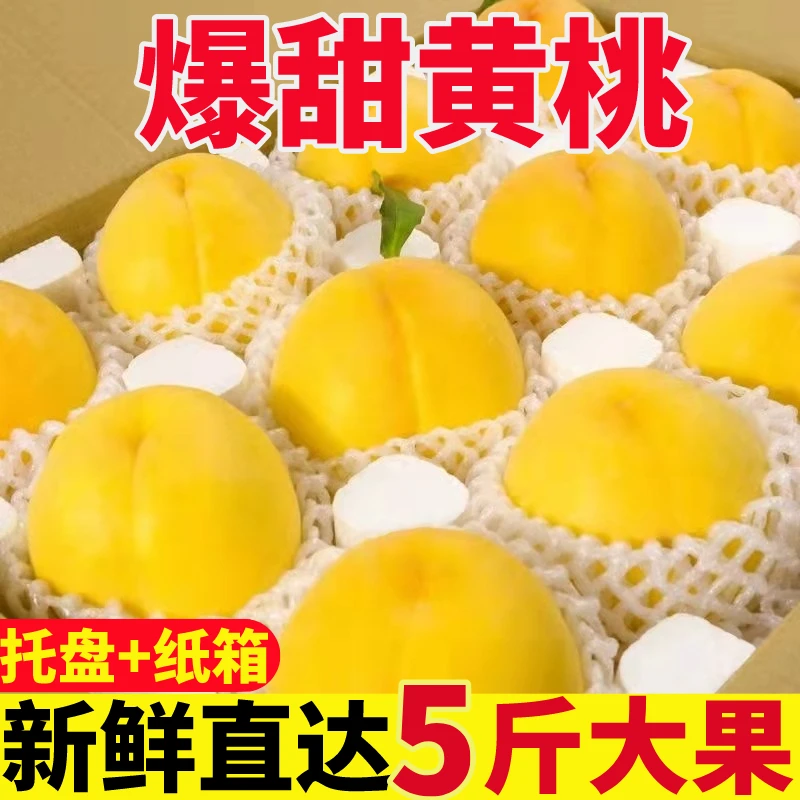正宗山东蒙阴纯甜大黄桃新鲜水果黄金蜜桃黄桃香甜多汁坏果包赔