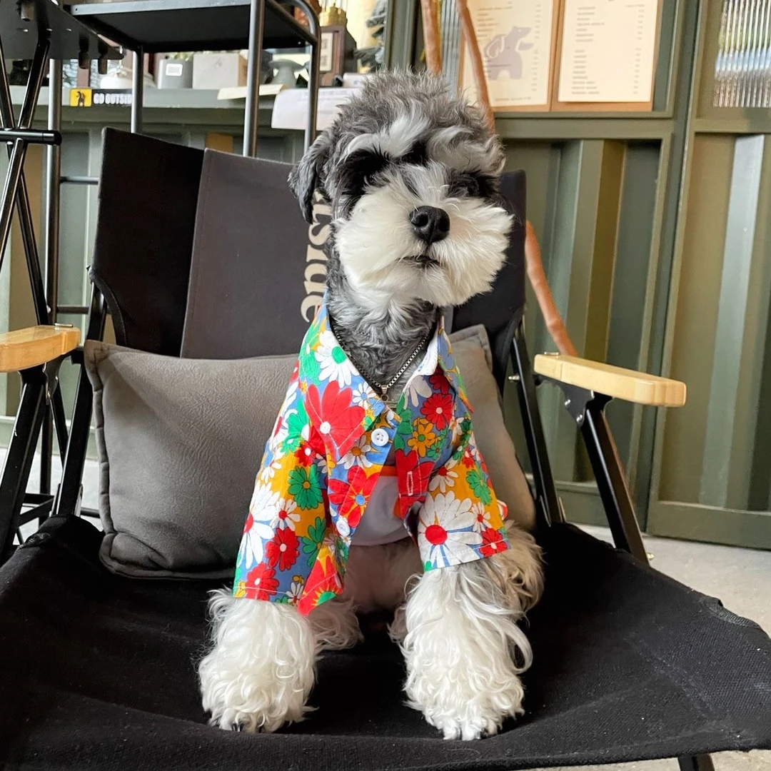 夏季猫狗狗衣服小型犬薄款花衬衫泰迪雪纳瑞柯基巴哥猫咪棉宠物装