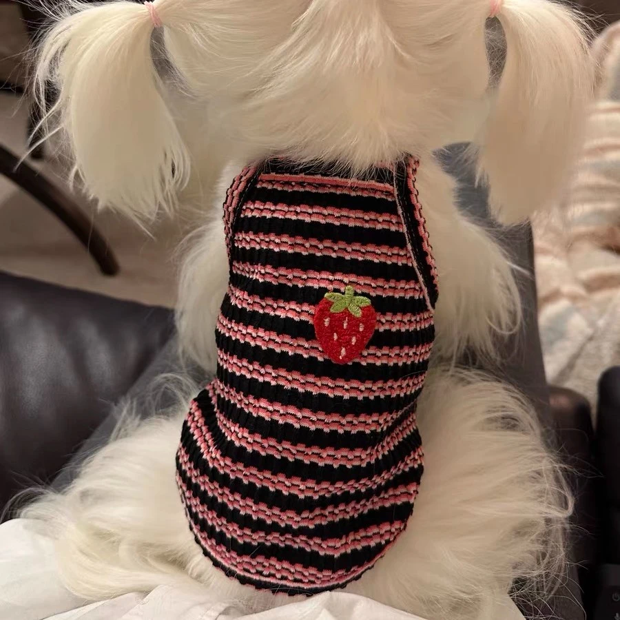 夏季洋气吊带小狗狗薄款衣服泰迪比熊雪纳瑞宠物小型幼犬博美背心