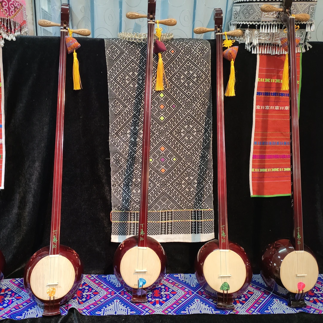 非遗乐器壮族天琴