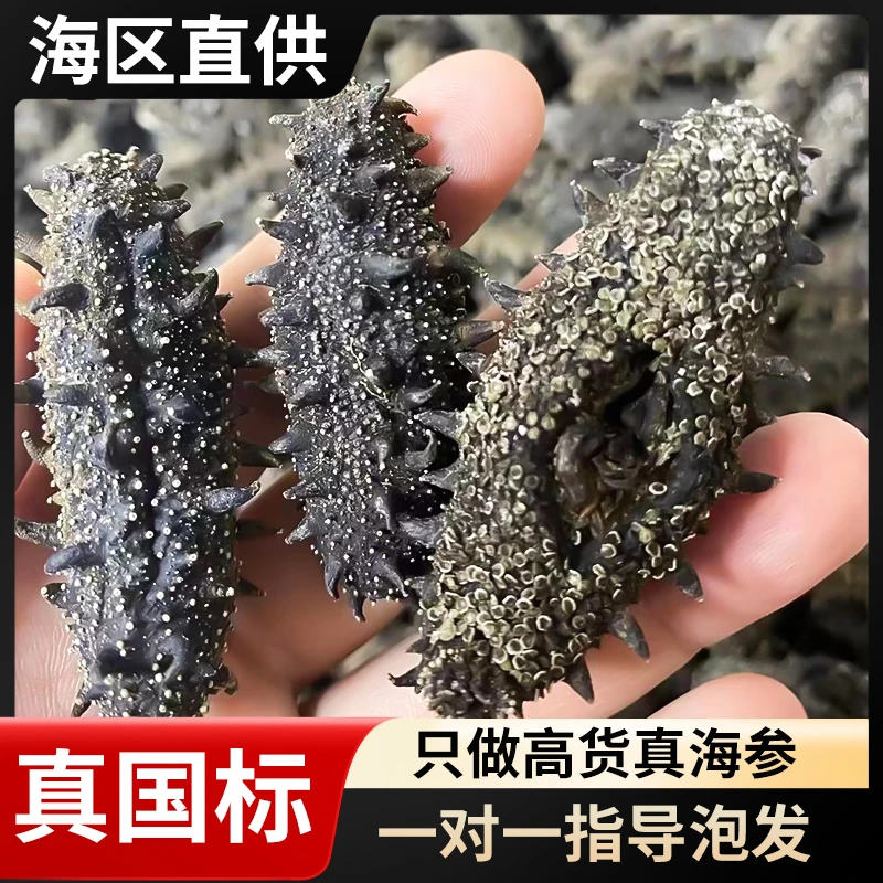 国标海参 大连长海县广鹿岛  纯无盐16-18倍泡发 一斤装