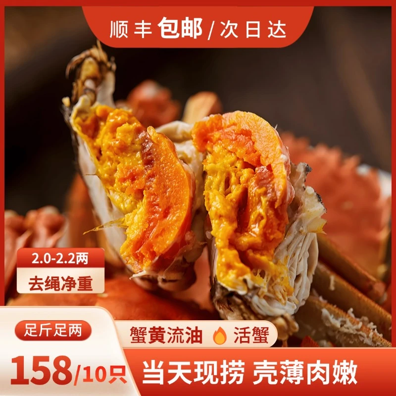 【10只2-2.2两全母蟹】江苏鲜活大闸蟹