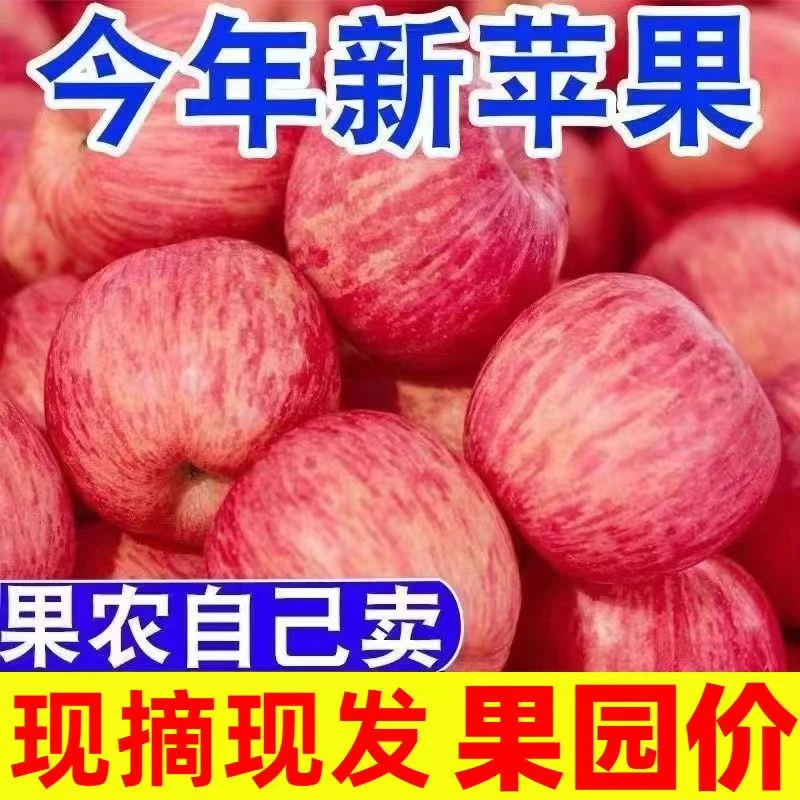 【一人领一箱】现摘正宗陕西红富士苹果应季水果新鲜10斤5斤2斤洛
