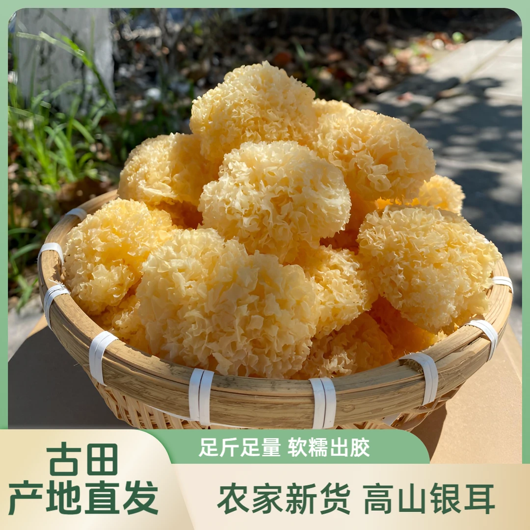 正宗小银耳250g小银耳干货古田银耳煮出胶红枣白木耳莲子银耳羹