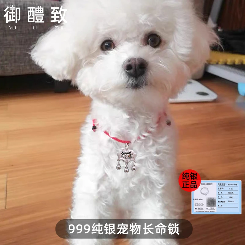 吊坠925银 S999纯银锁宠物长命锁手工狗狗猫咪项圈挂饰颈圈百搭