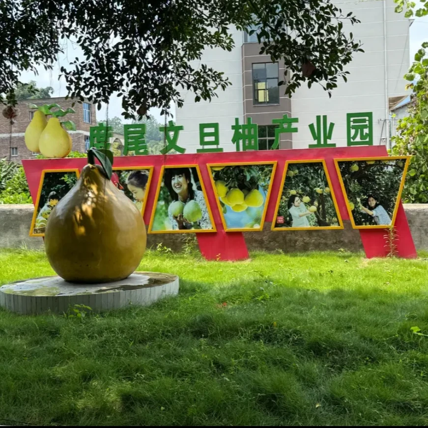 福建仙游度尾正宗红心文旦柚现摘现发孕妇果酸甜味无籽多汁香甜