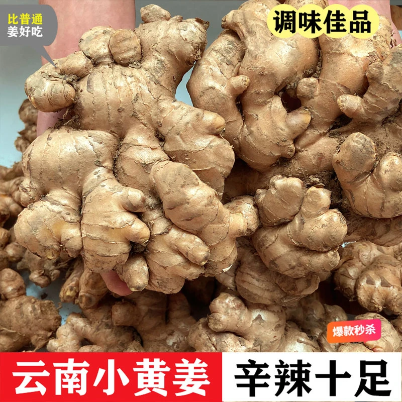 正宗小黄姜云南高山云南姜新鲜生姜姜皮薄浓郁美味120g-9斤