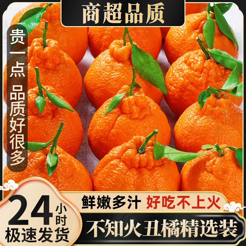 正宗不知火丑橘当季橘子新鲜水果四川丑八怪耙耙柑桔子3/5/8斤