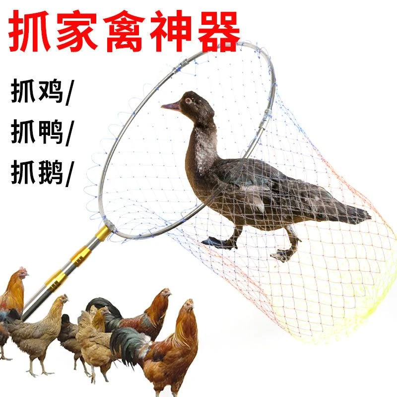 抓鸡网兜抓鸡神器抓鸭抓鹅逮鸡户外加长不锈钢网兜抓家禽神器加固