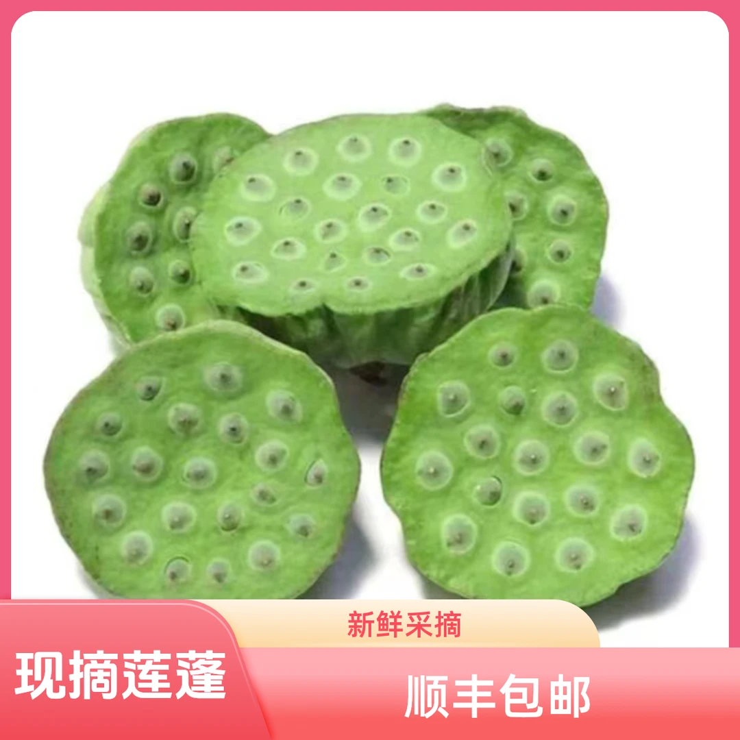 新鲜莲蓬现摘莲蓬3斤甜嫩生吃莲蓬孕妇水果即食莲子顺丰包邮