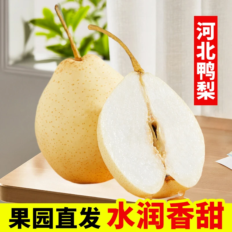 河北鸭梨水晶梨晋州鸭梨带箱5斤多汁水果整箱产地直发