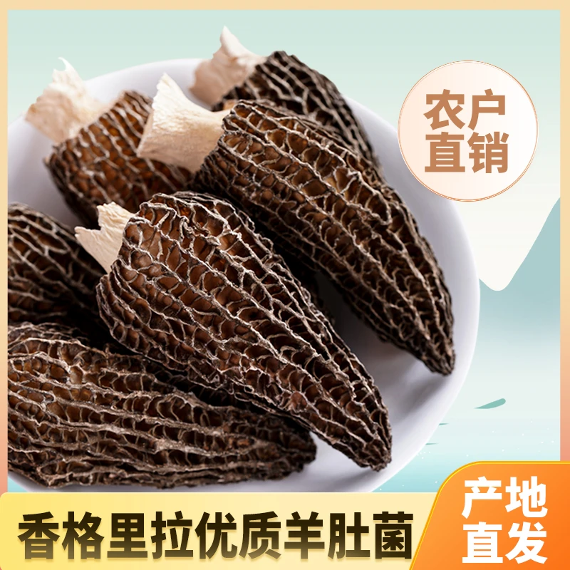 茸国府香格里拉高原羊肚菌干货非新鲜云南土特产菌菇干货食材50g