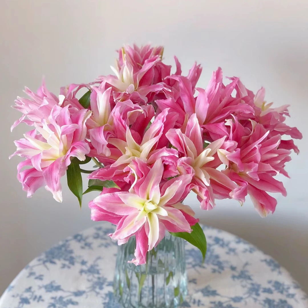 勺子-重瓣百合集-（顺丰包邮）