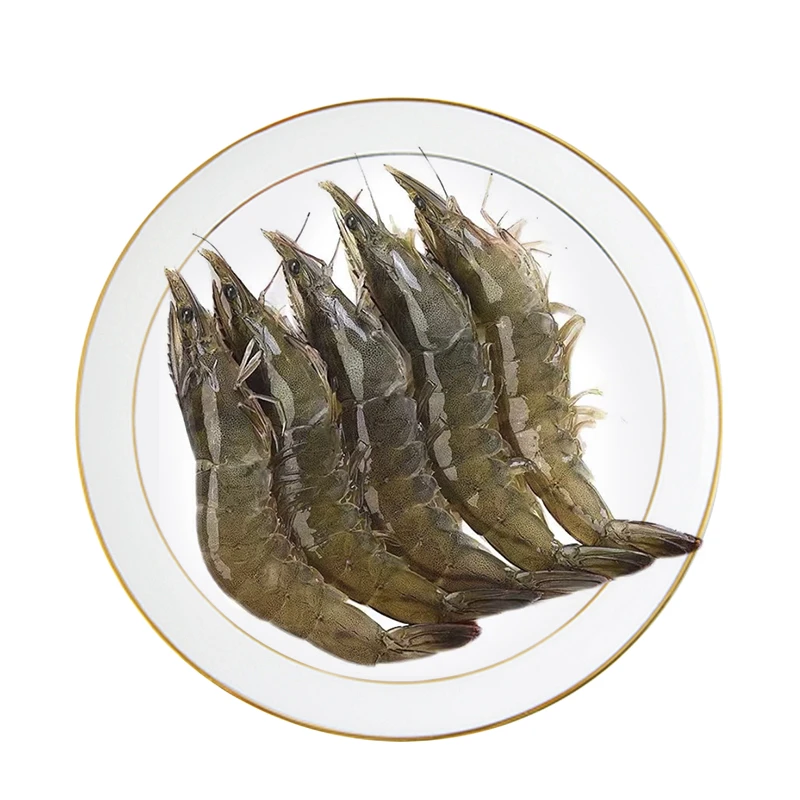 冰鲜南美虾 约500g