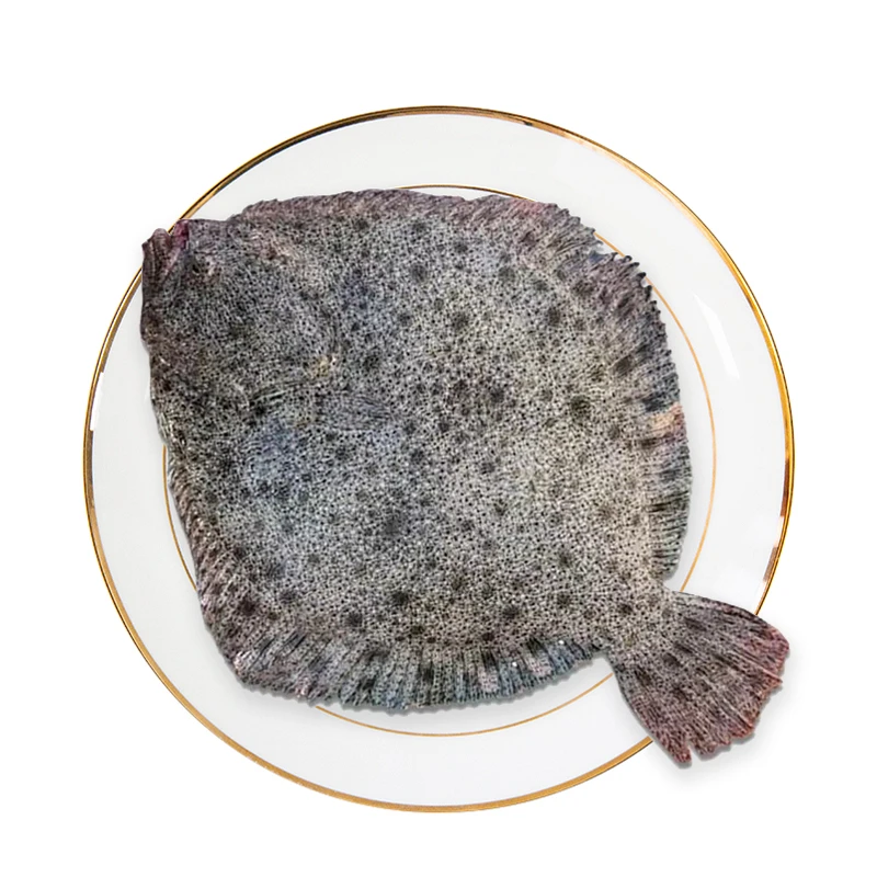 【招财进宝】多宝鱼 约750g