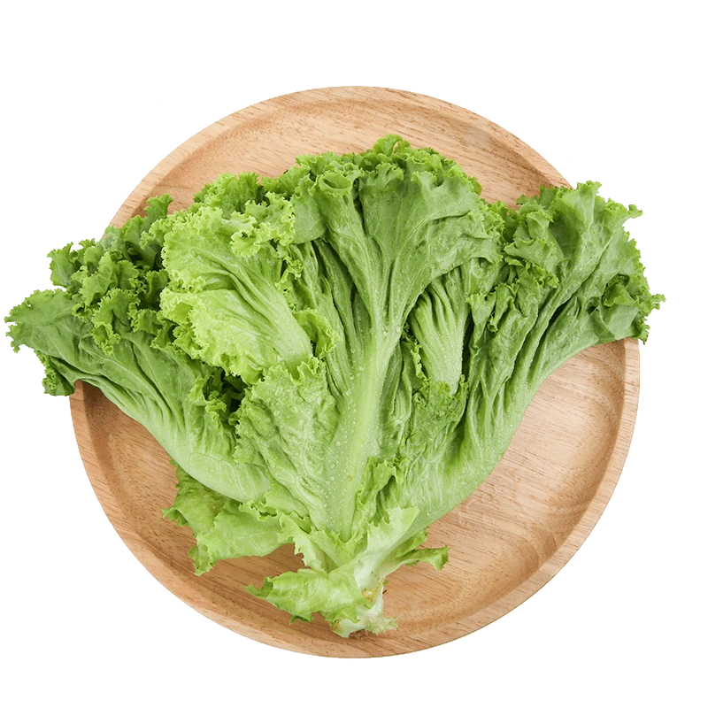 缤纷田园每日鲜奶油生菜 约380g