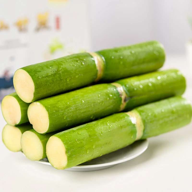 新鲜陶山青皮甘蔗当季水果精品5斤大果单节温州特产礼盒装净重4.8