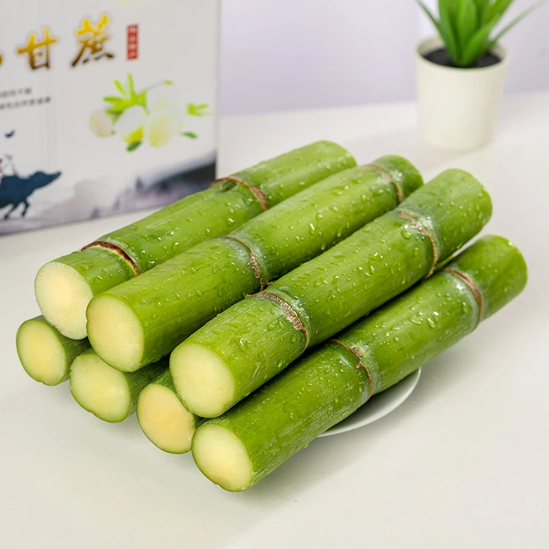 青皮甘蔗新鲜当季水果陶山甘蔗温州特产皮薄多汁3-5斤装
