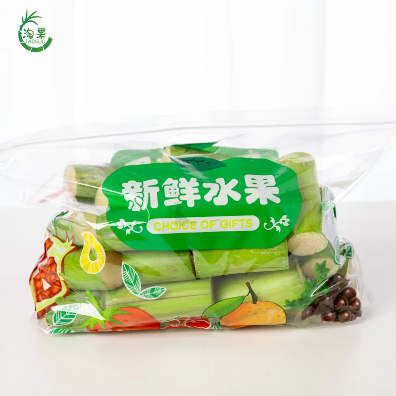 正宗陶山青皮甘蔗去节脆甜果肉3-5斤礼盒装温州特产手撕多汁