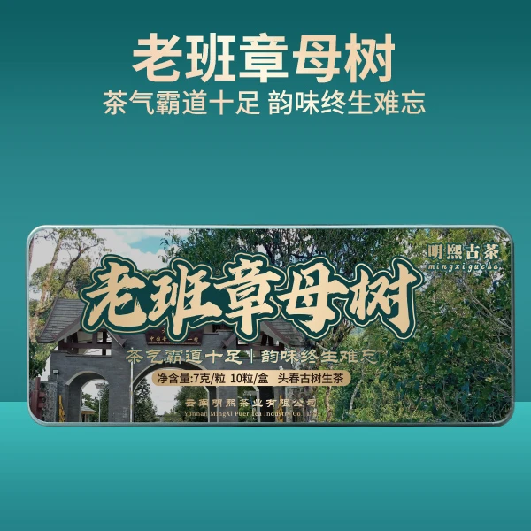 【明熙古茶】-2023年头春老班章母树普洱茶生茶古树龙珠 70克/盒