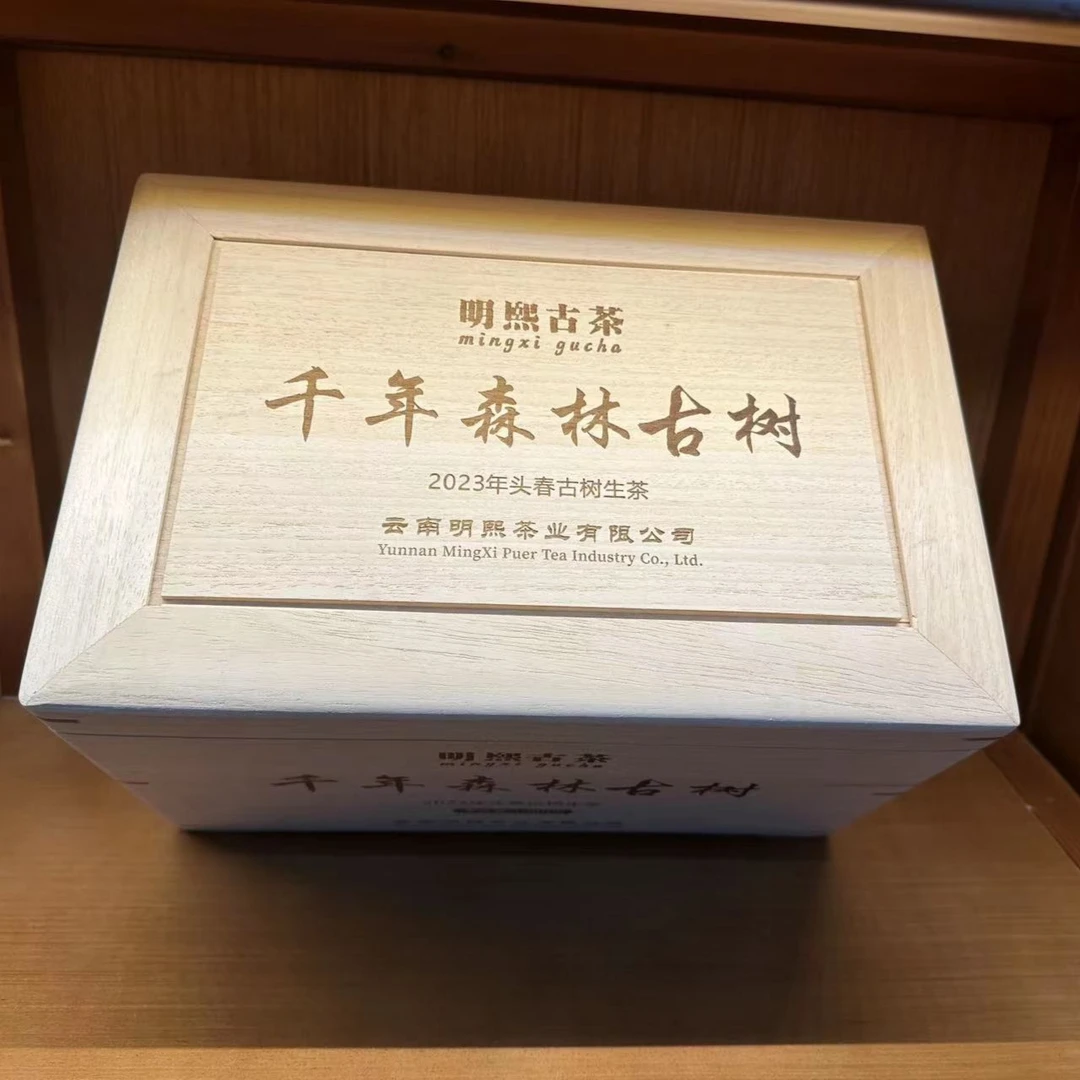 【明熙古茶】2024年头春千年森林古树纯料散茶 1000克/箱