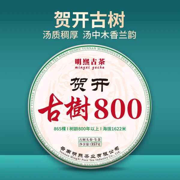 【明熙古茶】2022年头春贺开800古树普洱生茶饼 357克/片