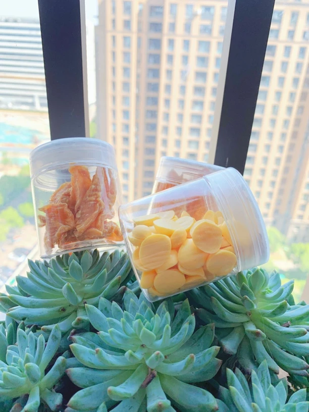 【自制蜜袋鼯零食】现烤肉干 蛋黄溶豆 手工零添加