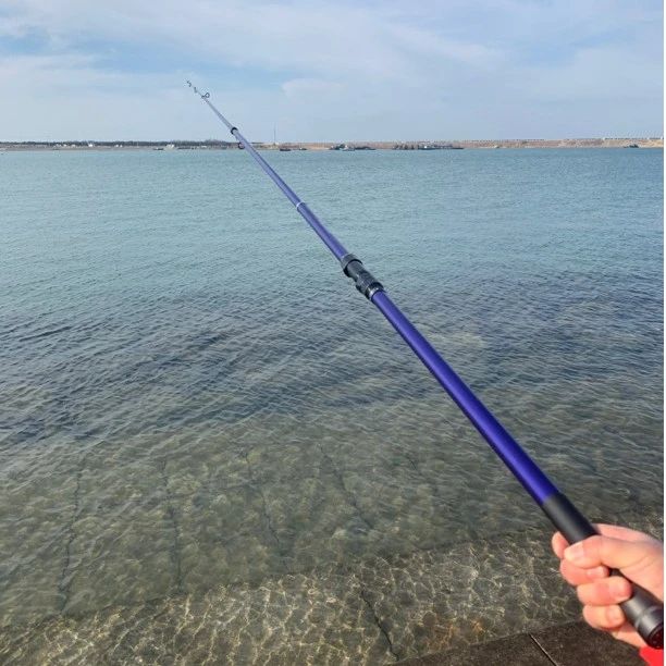 远投竿海竿超硬投竿大钓重鳙鲢鱼竿杆碳素威海产