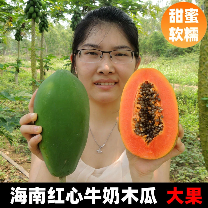 周小贝海南红心木瓜水果新鲜红肉牛奶青木瓜三亚超甜5斤8斤10斤装