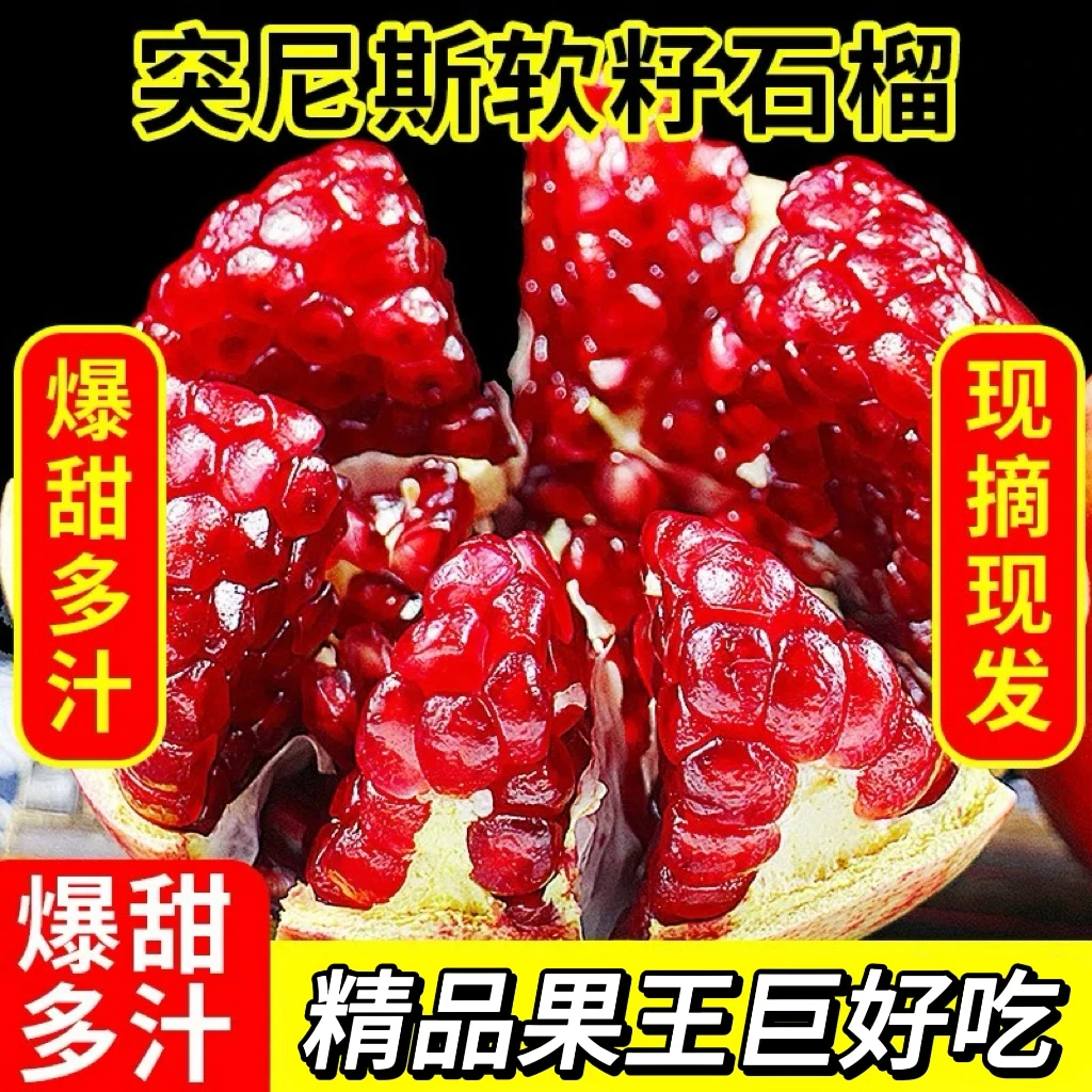 花花专属【坏果包赔】四川会理软籽石榴新鲜水果整箱y