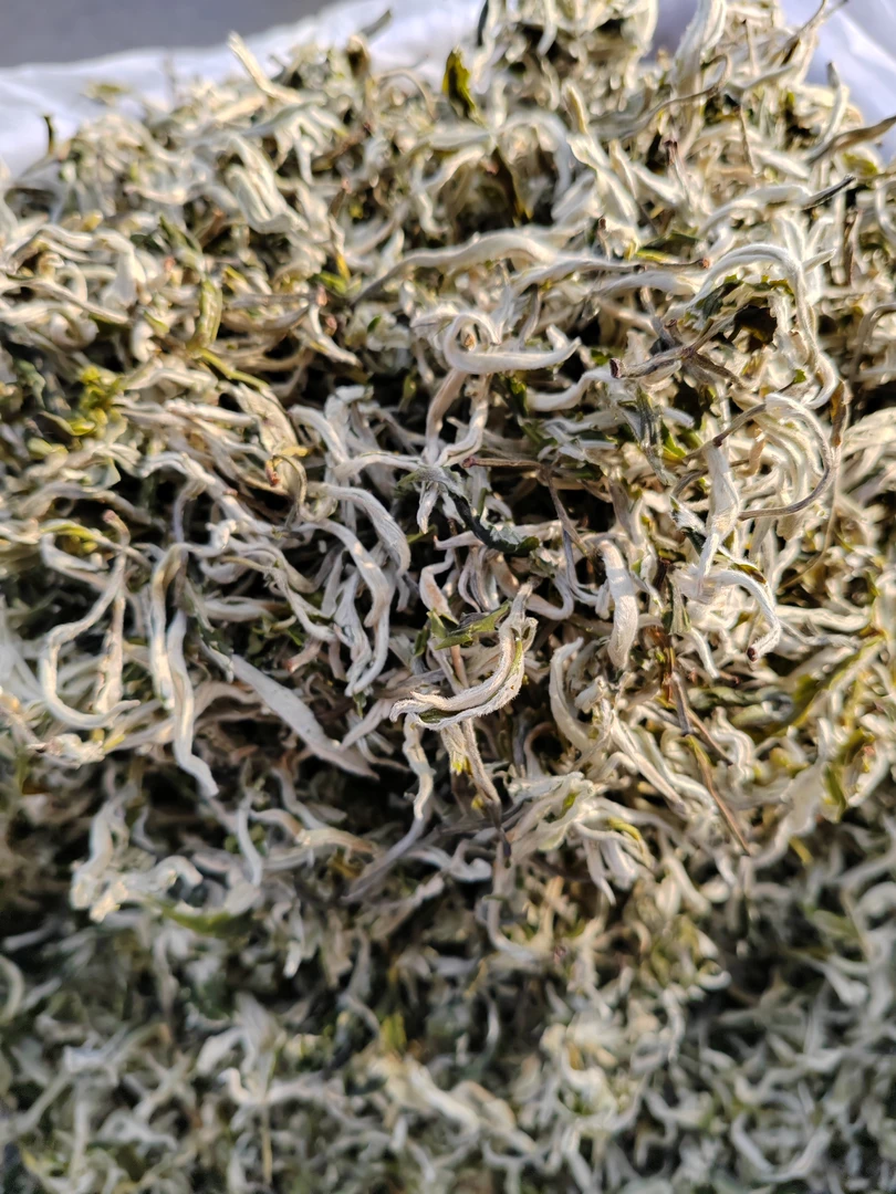 甘肃罐罐茶茶叶春尖，生茶，一袋500g