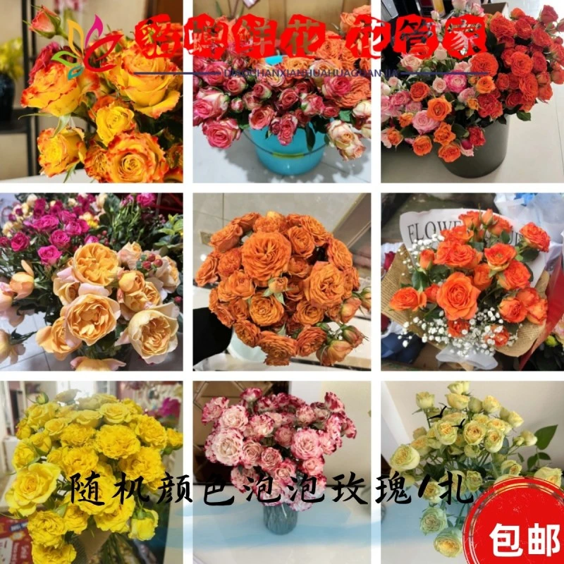 鲜花  1把爱丽丝泡泡玫瑰  生鲜不支持已发出退款