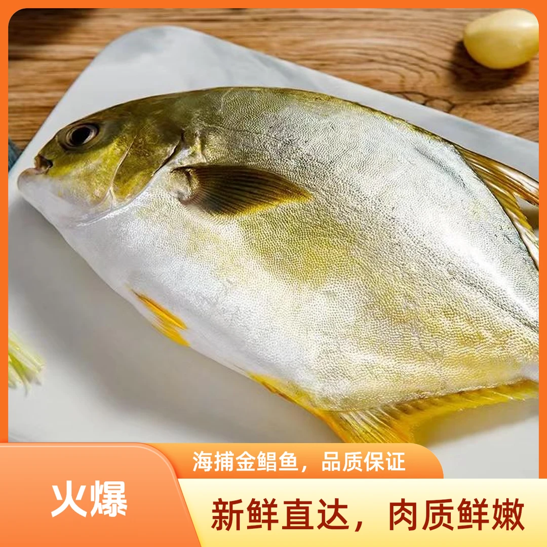 【超划算】海捕深海金鲳鱼7条肉质紧实 昌鱼  350-400g/条 净重2450
