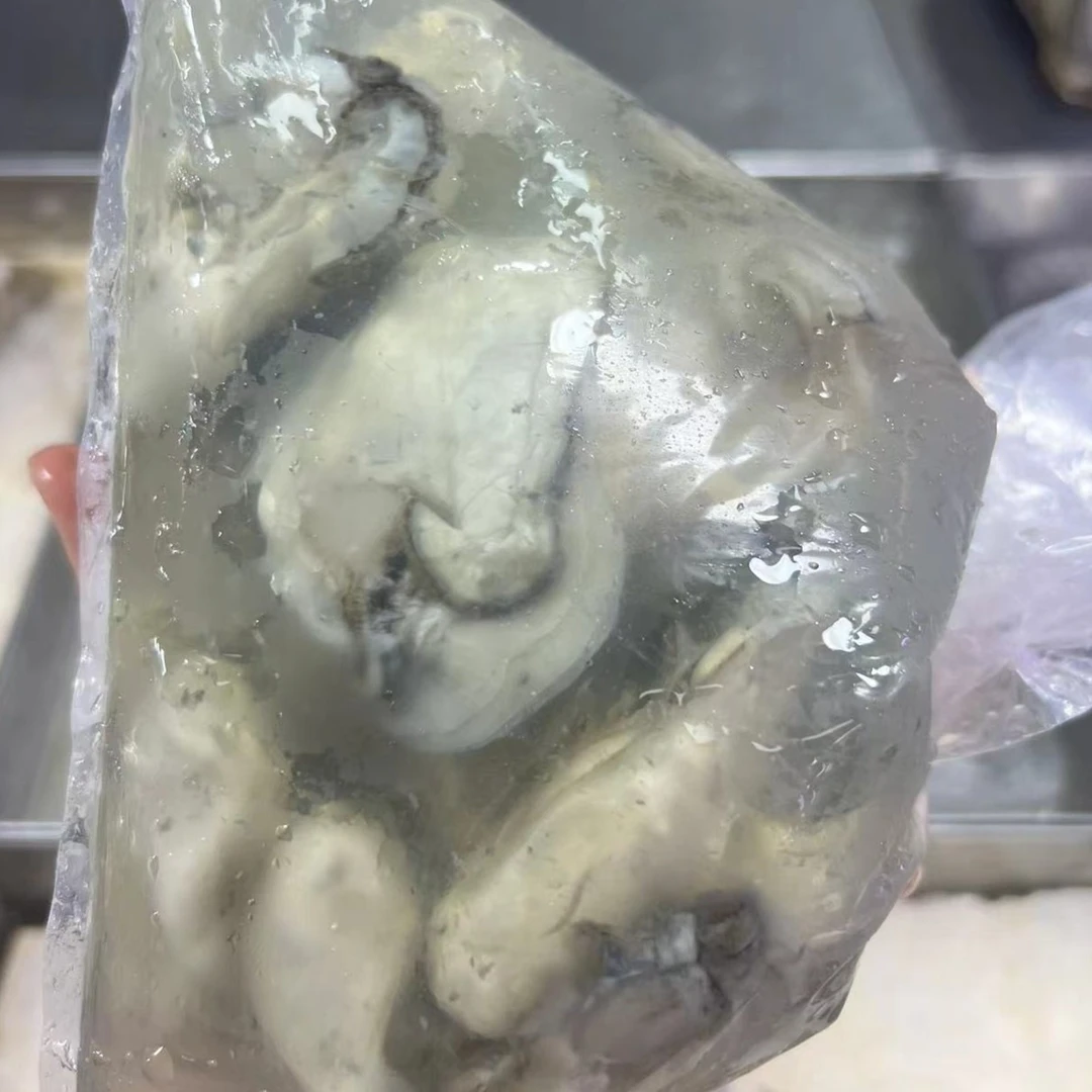 鲜 蛎蝗肉（火锅必备 熬汤珍品）