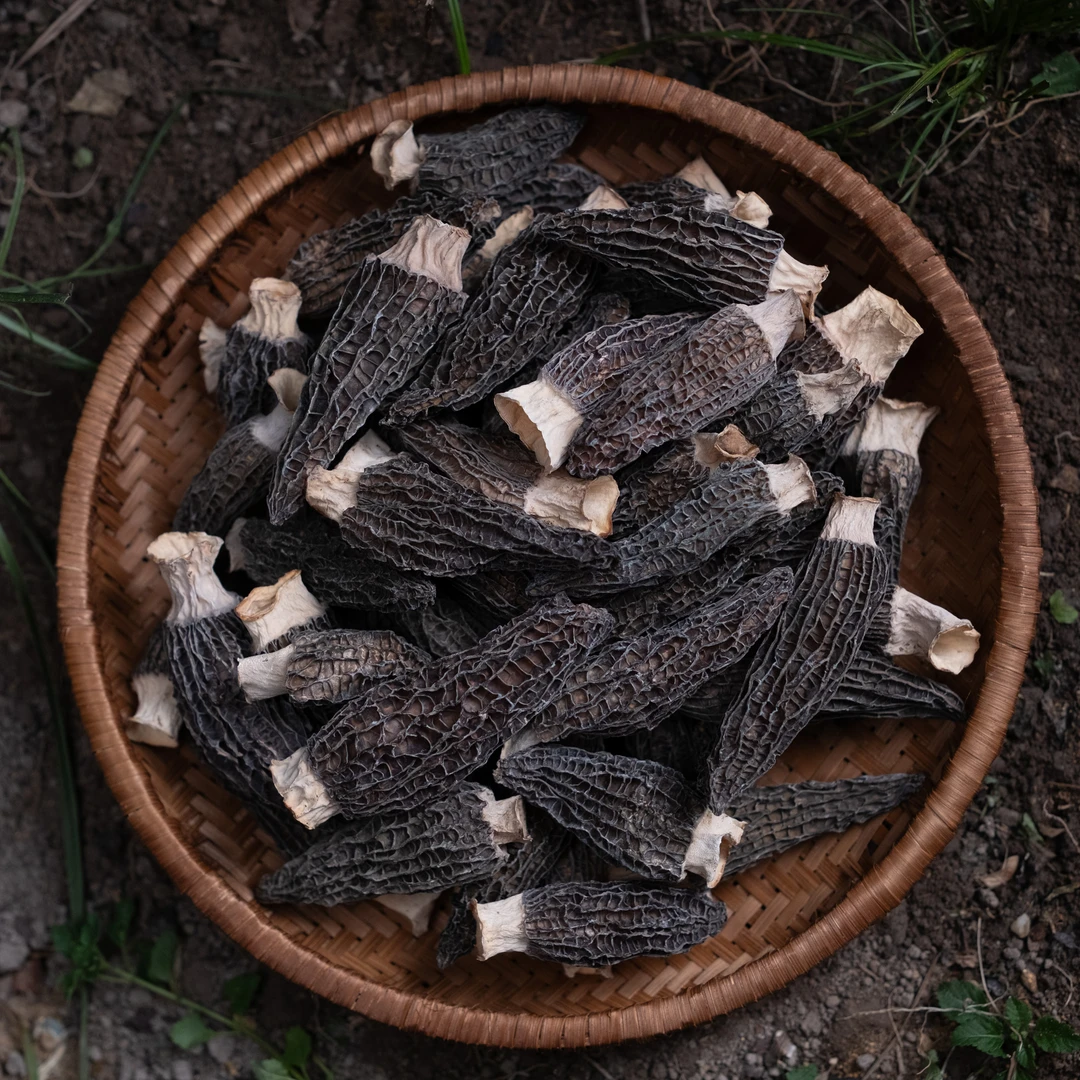 菌百道2024年精品头茬羊肚菌干货庆元羊肚菌新鲜煲汤类超值装