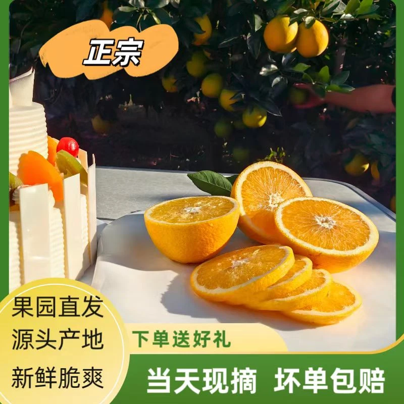 赣南脐橙新鲜现摘果园直发入口爽脆汁水丰富应季正宗赣南脐橙