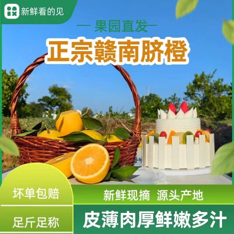 赣南脐橙20年A级老树九甜一酸2新鲜现摘果园直发天然好橙