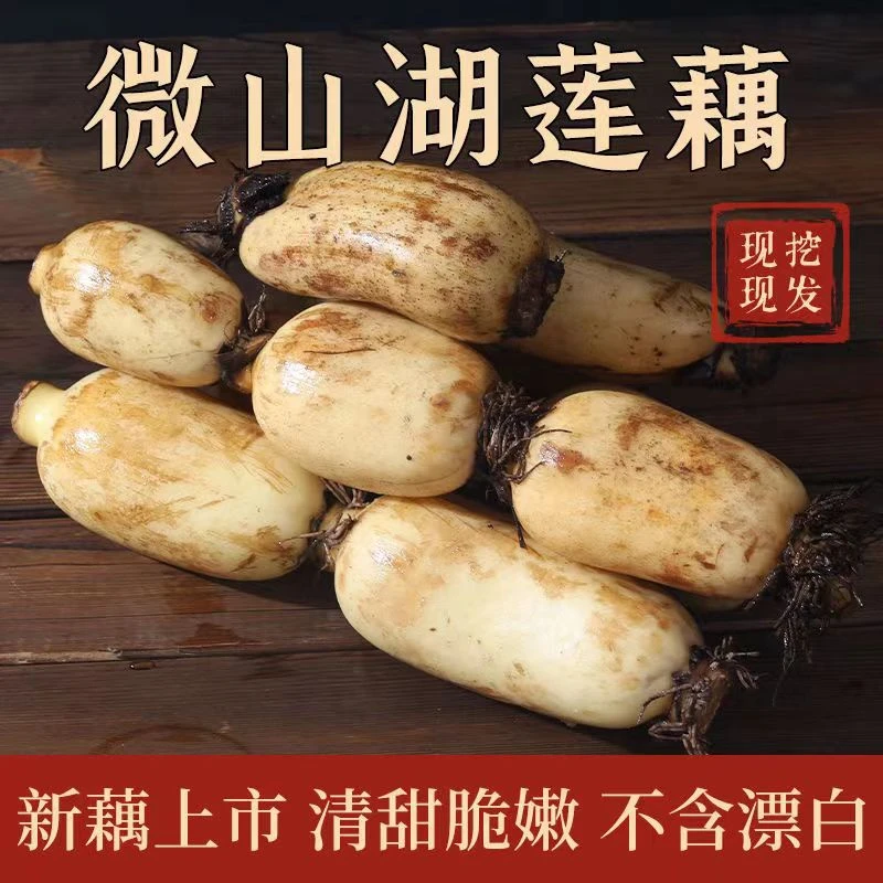 【粉藕】微山湖莲藕5斤原生态清脆鲜嫩新鲜真空包装脆嫩清甜口感