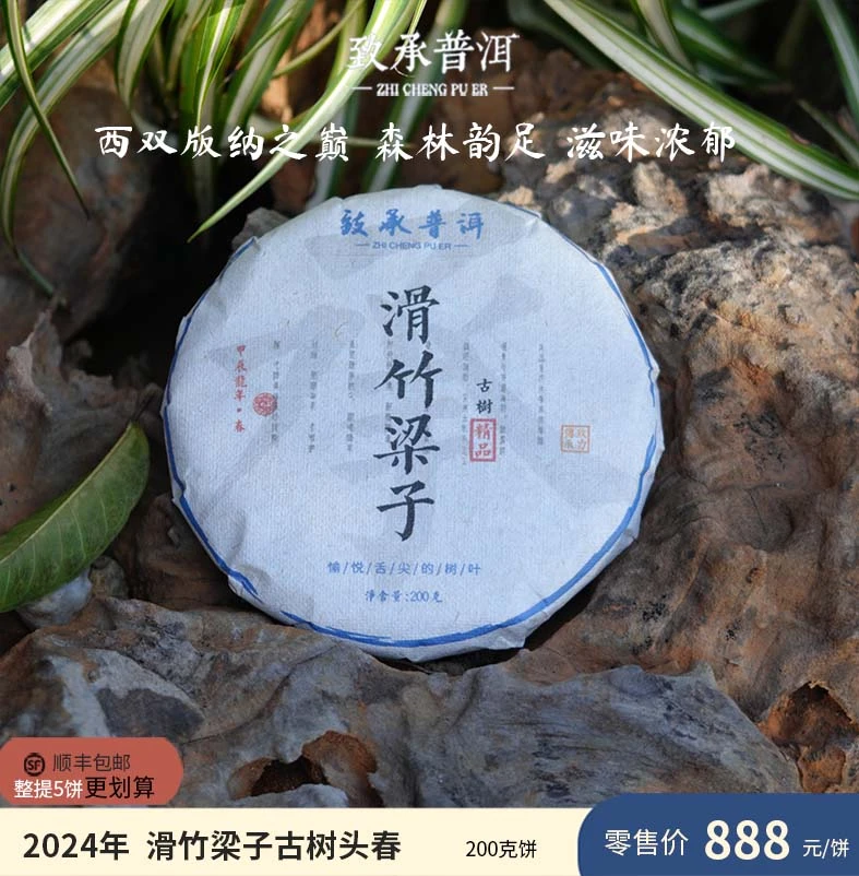 滑竹梁子 | 勐海2024年古树头春 云南普洱生茶  200克饼