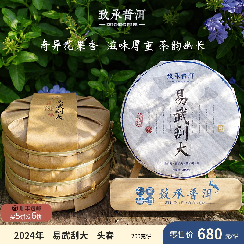 （赠品）易武刮大丨易武2024普洱生茶（头春头采）8克品鉴