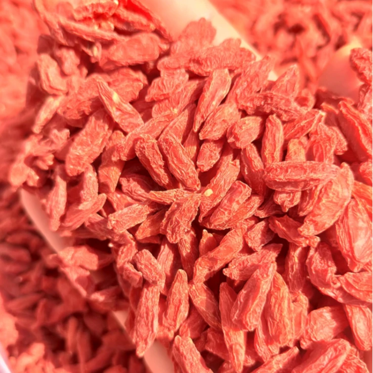 【延边大漂亮专属】长白山红枸杞 250g*1瓶 煲汤 泡水 泡酒