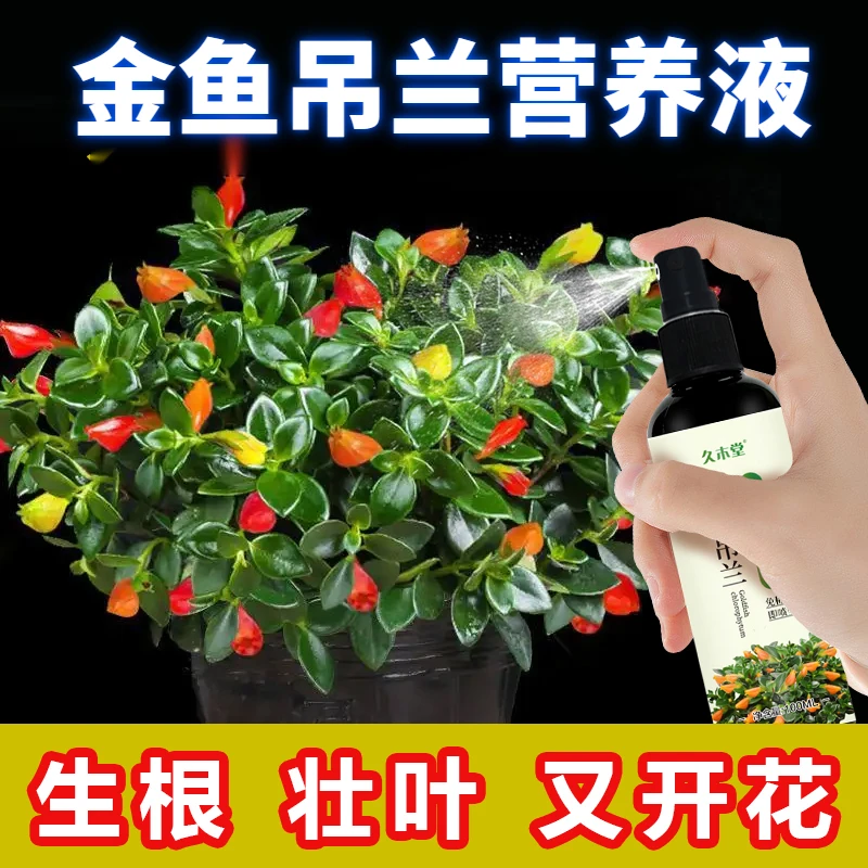 金鱼吊兰土培专用营养液免稀释催开花防黄叶黑斑烂根促生根肥料液