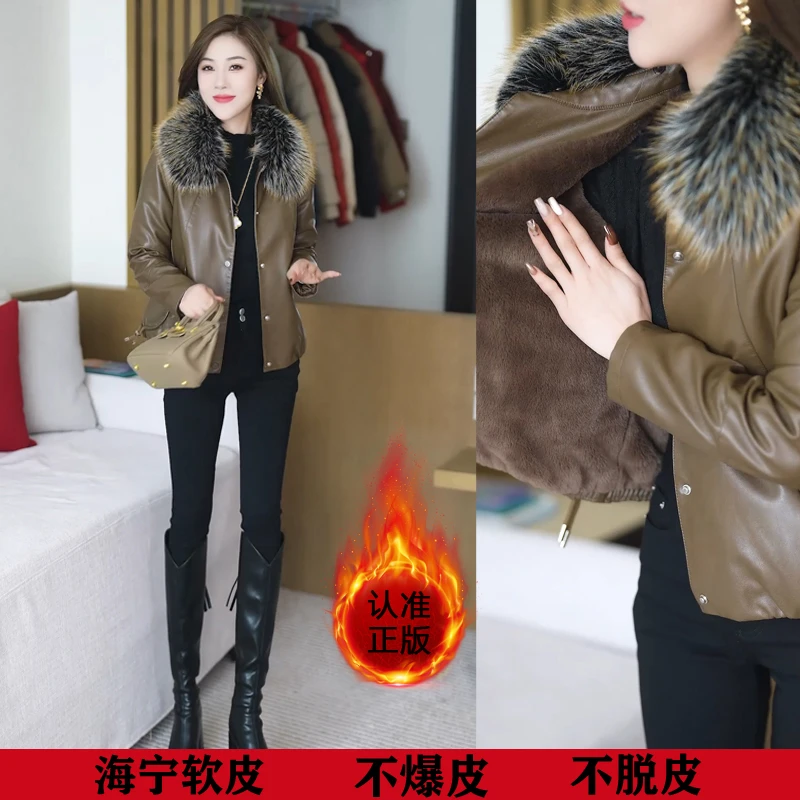 海宁皮衣2025新款洋气质加绒加厚毛领女外套显瘦时尚上衣短款百搭