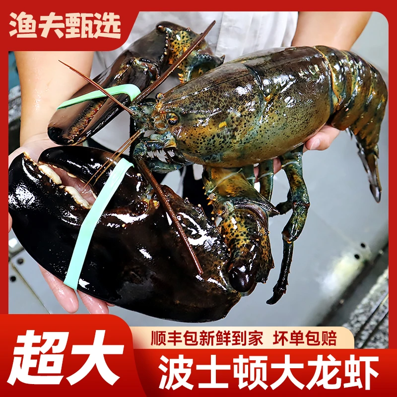 波士顿龙虾超大液氮活冻非鲜活介意勿拍包新鲜到家