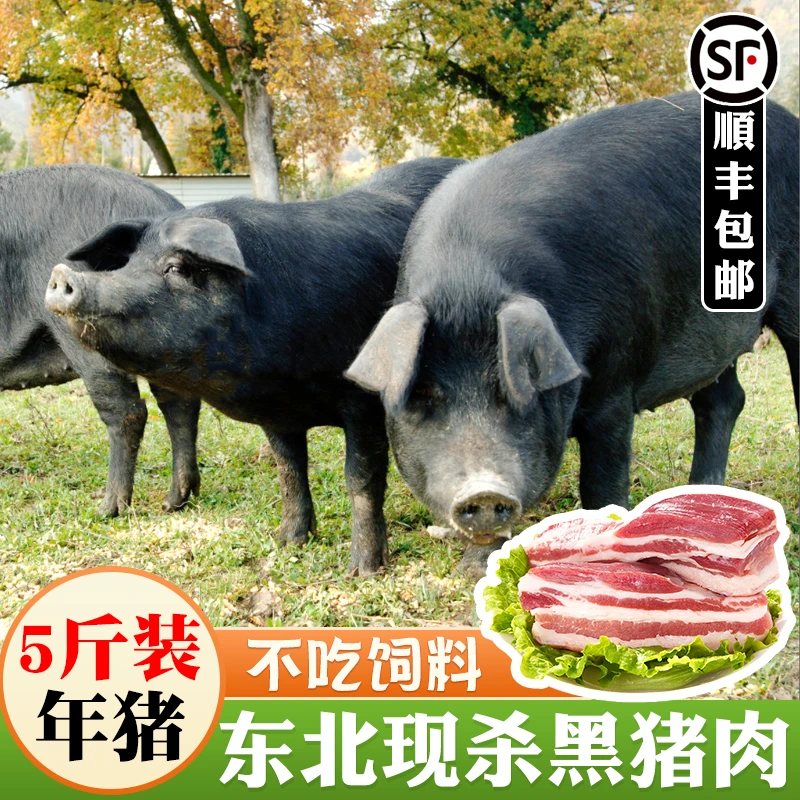 猪肉生正宗东北农家散养黑猪土猪现杀五花肉5斤新鲜冷冻肉香顺丰