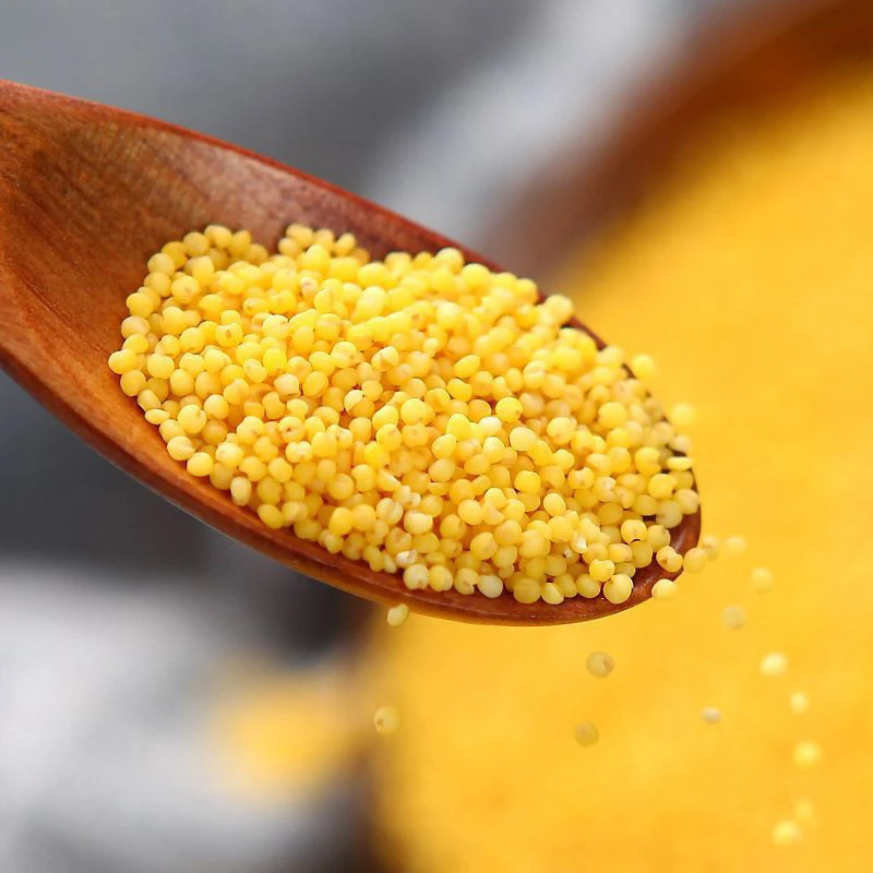 【小魏自营】小米3斤/5斤