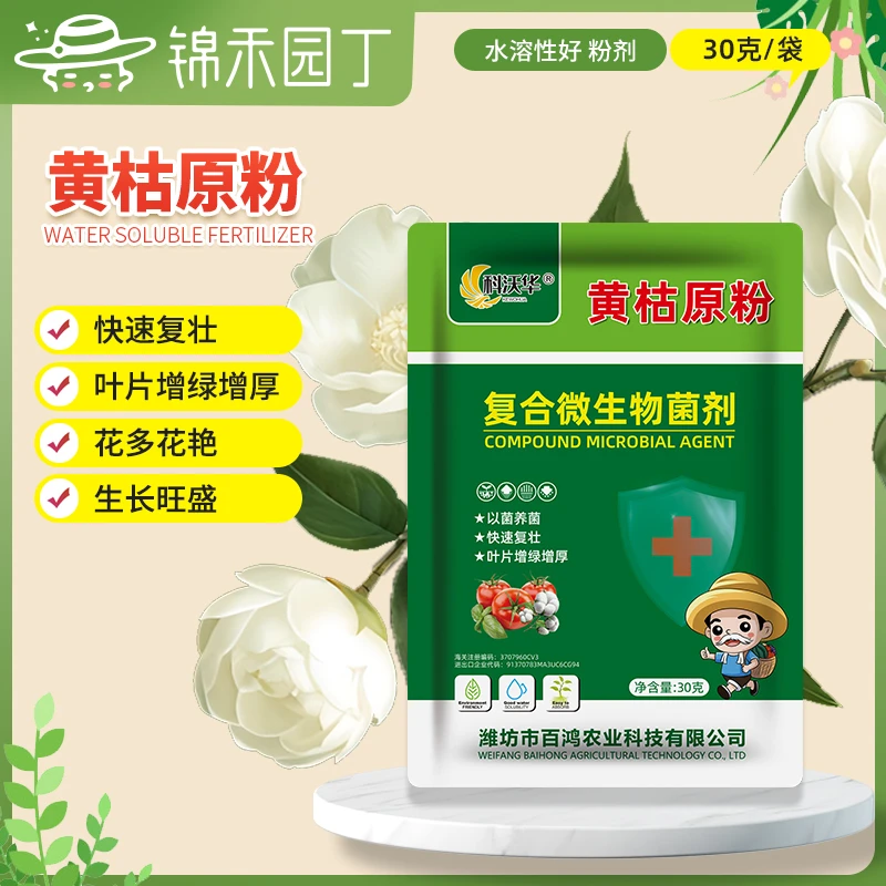 黄枯原粉园艺花卉绿植多肉预防枯萎立枯炭疽复合微生物菌剂叶面肥