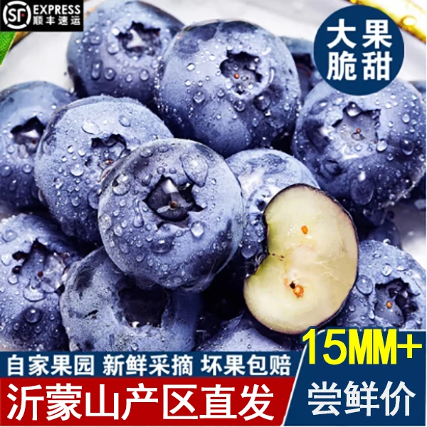 新鲜采摘当日发货15-18mm大果蓝莓爽口爆汁营养孕婴辅食100g每盒