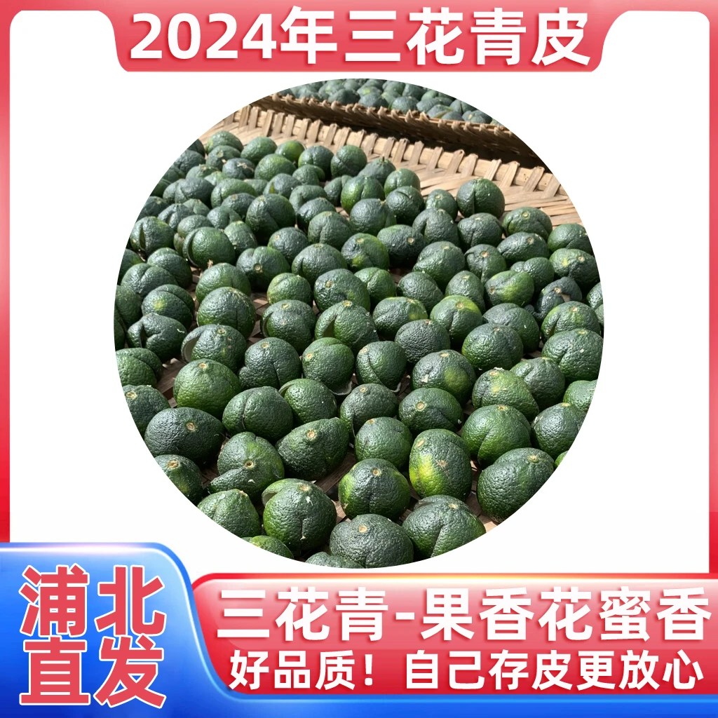 浦北三花青陈皮 新会柑品种青皮果香产地品质
